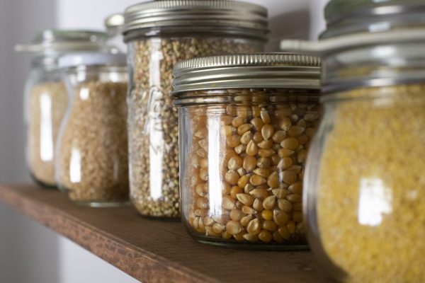 Protecting your home against pest invasion