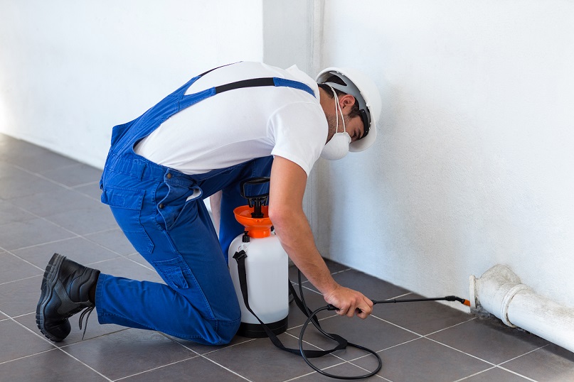 Important changes to healthy homes standards