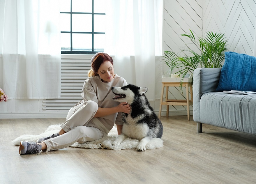 Managing pet-separation anxiety and boredom