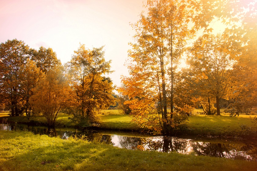How to prepare your autumn garden