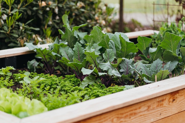 Creating green space while you rent