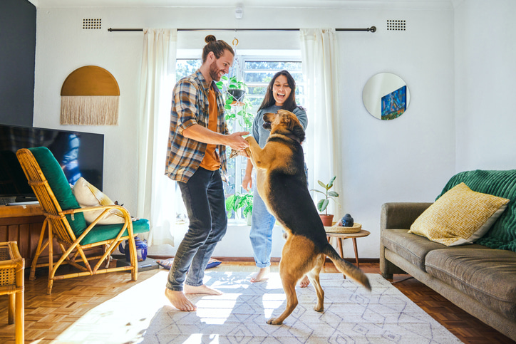 Understanding the value of your home